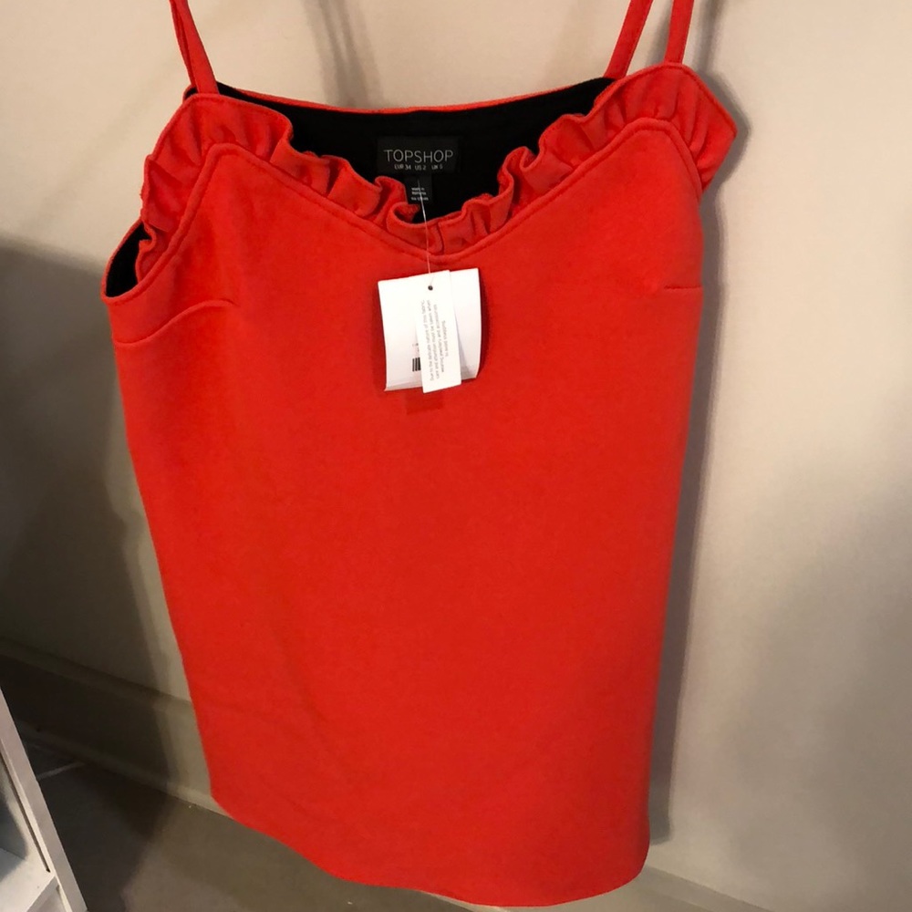 Topshop dress